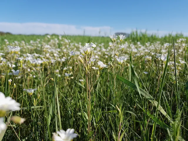 photo Alone, lonlyness, freedom